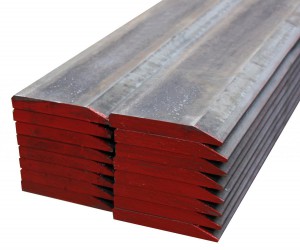 Single Bevel Cutting Edge Profiles  